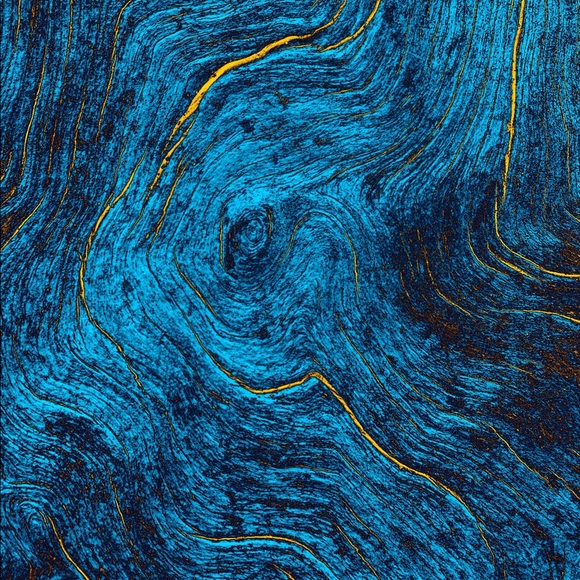 Meet your Posher, Will - Picture 1 of 1